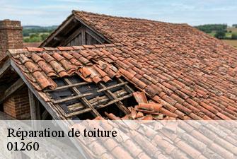 Réparation de toiture fitignieu-01260 Kenji Lagrenee Couverture