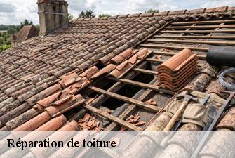 Réparation de toiture fitignieu-01260 Kenji Lagrenee Couverture