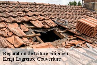 Réparation de toiture fitignieu-01260 Kenji Lagrenee Couverture