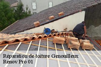 Réparation de toiture  genouilleux-01090 Renov Pro 01