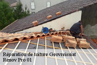 Réparation de toiture  geovreissiat-01460 Renov Pro 01