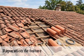 Réparation de toiture germagnat-01250 Kenji Lagrenee Couverture