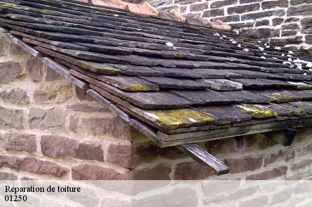 Réparation de toiture  journans-01250 