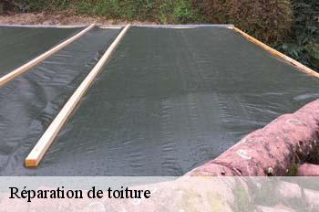 Réparation de toiture  labalme-01450 