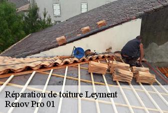 Réparation de toiture  leyment-01150 Renov Pro 01