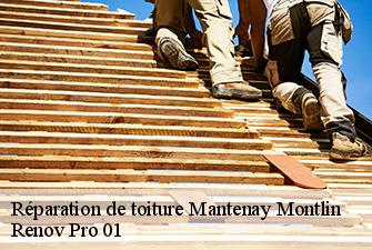 Réparation de toiture  mantenay-montlin-01560 Renov Pro 01