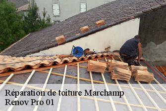 Réparation de toiture  marchamp-01680 Renov Pro 01