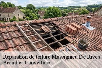 Réparation de toiture  massignieu-de-rives-01300 Beaudier Couverture 