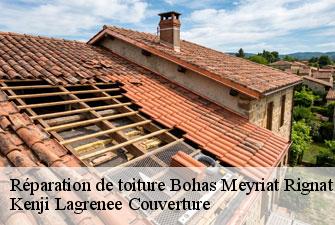 Réparation de toiture  bohas-meyriat-rignat-01250 Kenji Lagrenee Couverture