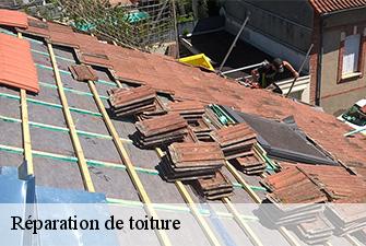 Réparation de toiture  bohas-meyriat-rignat-01250 Renov Pro 01