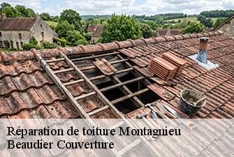Réparation de toiture  montagnieu-01470 Beaudier Couverture 