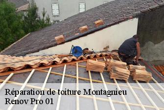 Réparation de toiture  montagnieu-01470 Renov Pro 01