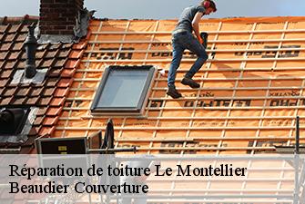 Réparation de toiture  le-montellier-01800 Beaudier Couverture 