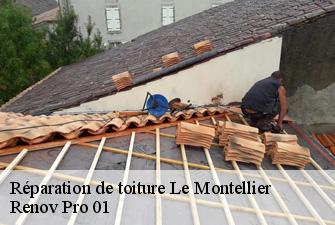 Réparation de toiture  le-montellier-01800 Renov Pro 01