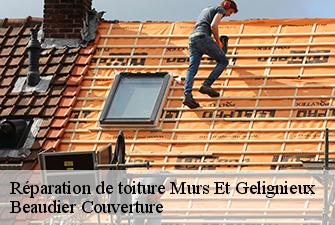 Réparation de toiture  murs-et-gelignieux-01300 Beaudier Couverture 
