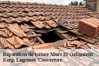 Réparation de toiture murs-et-gelignieux-01300 Kenji Lagrenee Couverture