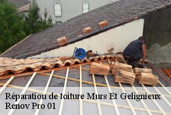 Réparation de toiture  murs-et-gelignieux-01300 Renov Pro 01