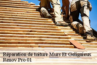 Réparation de toiture  murs-et-gelignieux-01300 Renov Pro 01