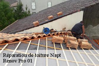Réparation de toiture  napt-01580 Renov Pro 01
