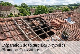 Réparation de toiture  les-neyrolles-01130 Beaudier Couverture 