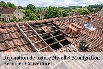 Réparation de toiture  nivollet-montgriffon-01230 Beaudier Couverture 