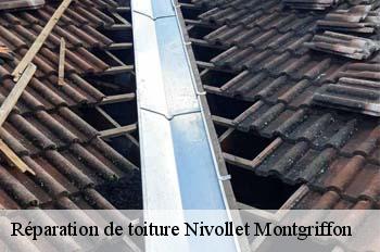 Réparation de toiture  nivollet-montgriffon-01230 