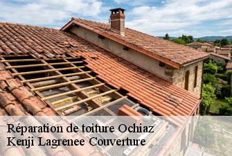 Réparation de toiture ochiaz-01200 Kenji Lagrenee Couverture
