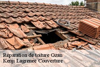 Réparation de toiture  ozan-01190 Kenji Lagrenee Couverture