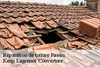 Réparation de toiture passin-01260 Kenji Lagrenee Couverture