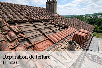 Réparation de toiture  perrex-01540 Beaudier Couverture 
