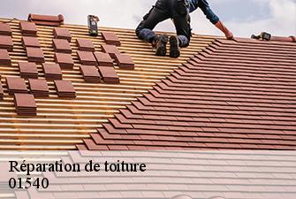Réparation de toiture  perrex-01540 Beaudier Couverture 