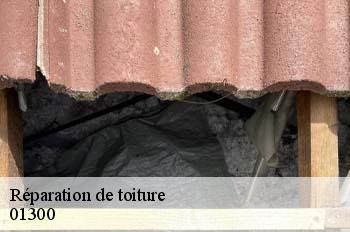 Réparation de toiture  peyrieu-01300 