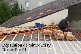 Réparation de toiture  priay-01160 Renov Pro 01