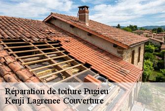 Réparation de toiture pugieu-01510 Kenji Lagrenee Couverture