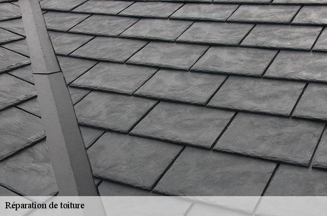 Réparation de toiture  romaneche-01250 