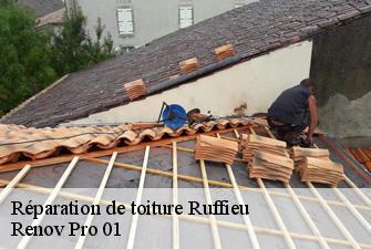 Réparation de toiture ruffieu-01260 Renov Pro 01