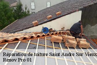 Réparation de toiture  saint-andre-sur-vieux-jonc-01240 Renov Pro 01