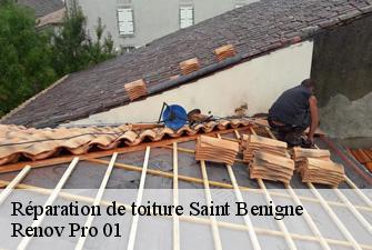 Réparation de toiture  saint-benigne-01190 Renov Pro 01
