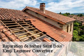 Réparation de toiture saint-bois-01300 Kenji Lagrenee Couverture