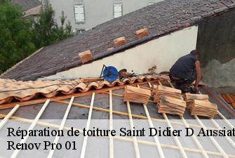 Réparation de toiture  saint-didier-d-aussiat-01340 Renov Pro 01