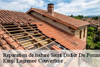 Réparation de toiture saint-didier-de-formans-01600 Kenji Lagrenee Couverture