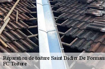 Réparation de toiture  saint-didier-de-formans-01600 FC Toiture