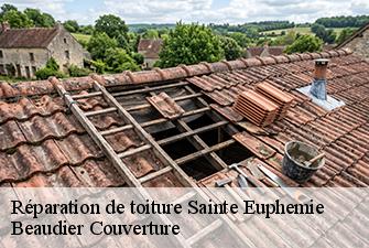 Réparation de toiture  sainte-euphemie-01600 Beaudier Couverture 