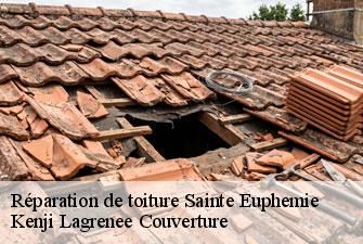 Réparation de toiture sainte-euphemie-01600 Kenji Lagrenee Couverture