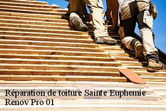 Réparation de toiture  sainte-euphemie-01600 Renov Pro 01