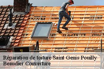 Réparation de toiture  saint-genis-pouilly-01630 Beaudier Couverture 