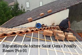 Réparation de toiture  saint-genis-pouilly-01630 Renov Pro 01