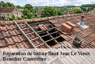 Réparation de toiture  saint-jean-le-vieux-01640 Beaudier Couverture 