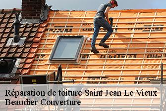 Réparation de toiture  saint-jean-le-vieux-01640 Beaudier Couverture 