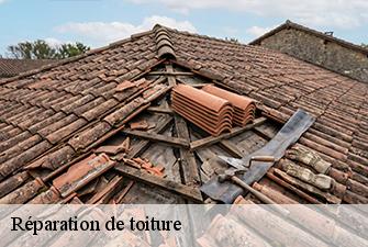Réparation de toiture  saint-laurent-sur-saone-01620 Beaudier Couverture 